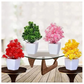 Pack of 4 Mini Plant Artificial Decoration Piece with pot Best for home & Office Decoration purpose
