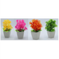 Pack of 4 Mini Plant Artificial Decoration Piece with pot Best for home & Office Decoration purpose