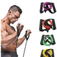 Latex Elastic Tube Resistance Bands Pull Rope Gym Yoga Fitness Equipment